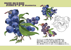 密湿特吴采集到设计思路