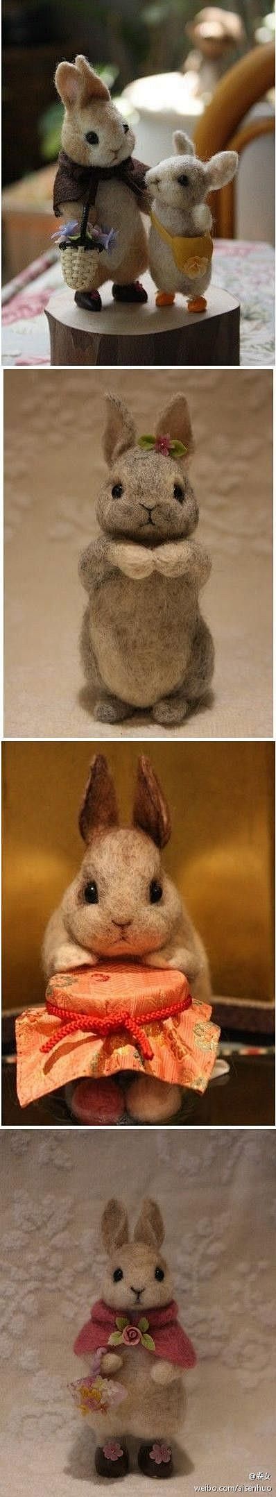 rabbit: 