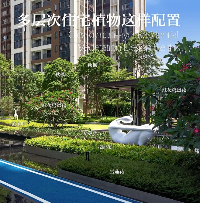 植物配置实景 (13)