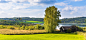 nature-grassland-field-sky-farm-rural-area-1442477-pxhere.com