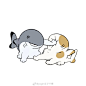 鲨猫也不想努力了。#鲨猫# ​​​​