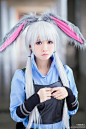 《疯狂动物城》兔子朱迪Judy