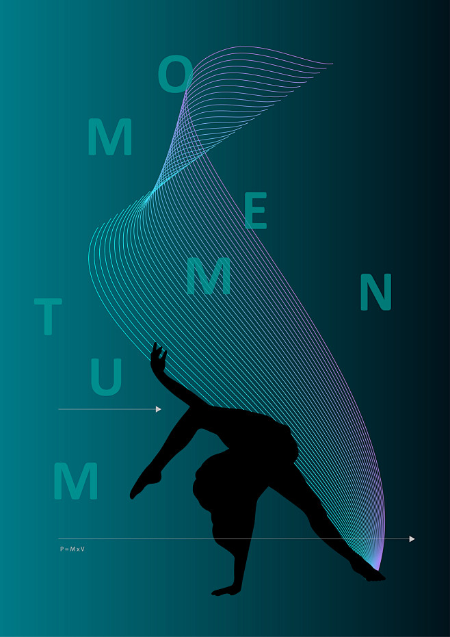 Momentum - The Physi...