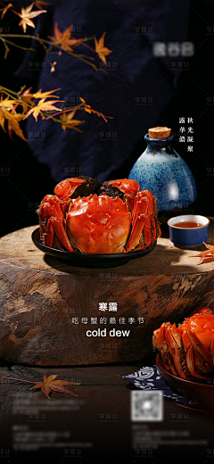 迷子君采集到摄影图片