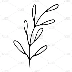 手绘婚礼药草