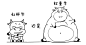 半小时漫画股票实战法-财经杂质-微信读书