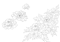 随ta吧采集到【插画】花草