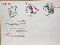 头部讲解

#手绘#
作者（@朱丹速写） ​​​​