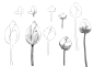 <![CDATA[ ]]>吧_<![CDATA[【资源】花花草草啥的……可能还有点别的？P站资源甚多 ]]>