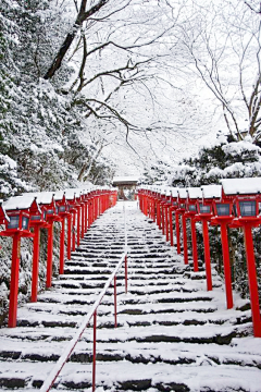 破军Yukiru采集到风景