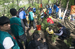 Sunnmoonhave采集到5月11日 龙潭山植树+江边