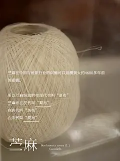 苎麻衣料推荐安利！ - 小红书