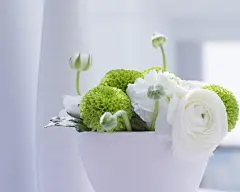 室内淡雅花朵漂亮壁纸桌面壁纸1