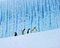 南极的冰川下，四个企鹅兄弟们在探险，魔兽世界里面是对的冰川真的是蓝色的不是白色的