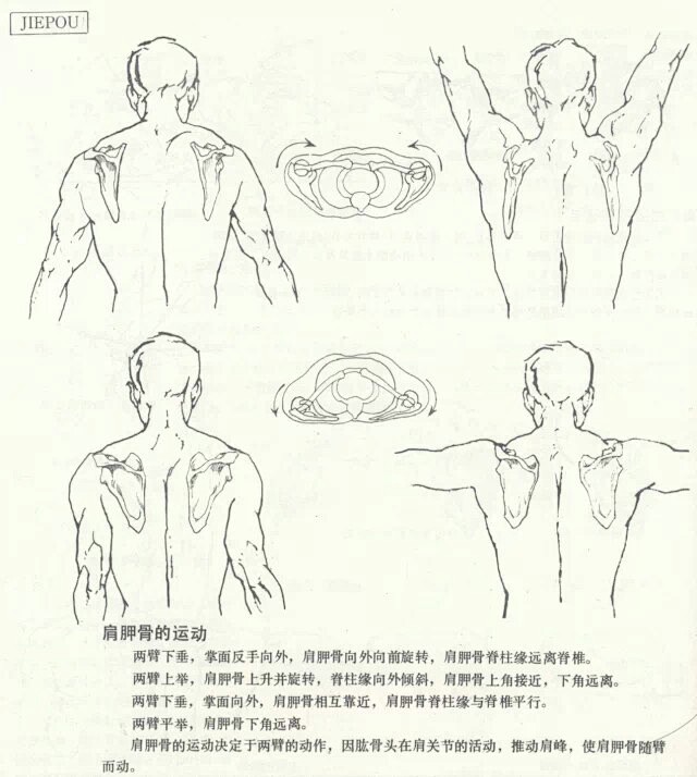 人体结构素材
分享教学资源http://...