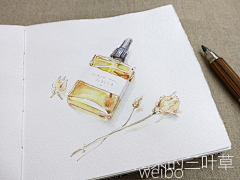 周末的三叶草采集到三叶插画