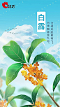 白露