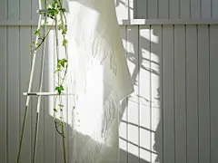室内花饰系列桌面高清壁纸桌面壁纸3