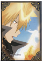 Primo~ - Vongola Primo/Giotto Photo (31763897) - Fanpop fanclubs