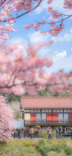 易先生花园采集到优秀调色【景色人文】