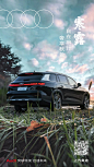 #寒露#
天清海阔，露染秋华
上汽奥迪 Audi Q6
以硬悍之姿
进取金色秋意 ​​​​