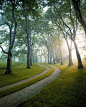 Hither Lane Residence / Reed Hilderbrand Associates/ photo Andrea Jones | Driveway | Residential | Gravel | Trees | Allee: 