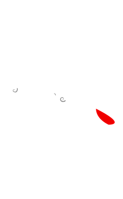 弹指*一瞬间采集到七夕