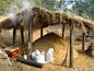阿公木炭窯燒製木炭的原料與過程