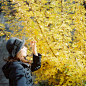 とある秋の日 | Flickr – 相片分享！