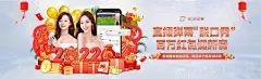 大赢家旧版比分手机版版游戏体验
