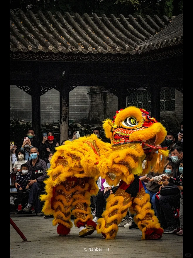 醒狮文化｜佛山人文｜黄飞鸿纪念馆｜祖庙_1_南北_来自小红书网页版-花瓣网