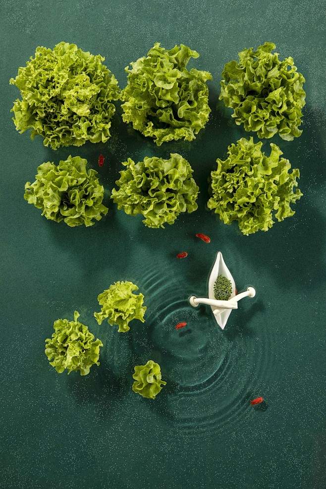 食摄马也·CHINA驰系列 | 廿四节气...
