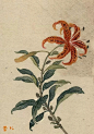 《百花图》| 缪谷瑛 ​ ​​​​