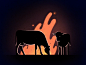 Cows around Bonfire : Last summer I was on a road trip. And somewhere in Romania on a sideroad, I saw this - cows were hanging out around bonfire so casually. I thought it might be fun to make an animation out of this. ...