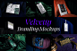 折页传单吊牌名片品牌设计贴图展示样机PSD模板 Branding Mockups / Velvetty Series