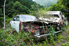 疯臣噗噗采集到废土