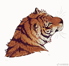 收集灵感采集到动物