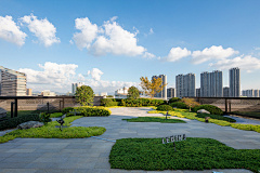 RickoZhang采集到2024天河