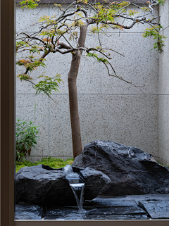 Thila采集到TY—现代庭院