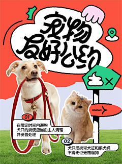 木子薇采集到pet