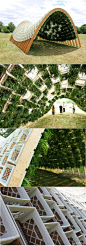 创意景观垂直绿化设计图集丨建筑外墙面绿化绿墙坡面室内外生态立体绿化装饰设计