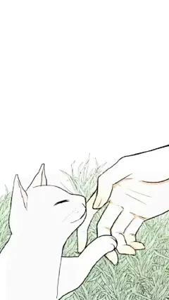 壁纸 清新 手绘 有猫咪