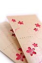 CNY Pocket by Andy Chiang, via Behance: 