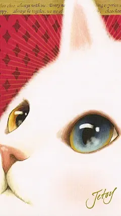 jetoy猫咪手机壁纸：喵星人又在卖萌了