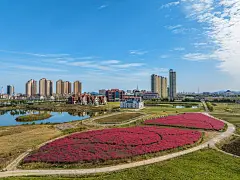 城市的印记┃相约千里山海 邂逅浪漫威海_温泉_天鹅_冰雪 : 这个冬季，威海将沿千里山海自驾旅游公路，持续打好冰雪、天鹅、温泉“三张名片”，打造全域、全季、全龄旅游城市。一场降雪后，天鹅湖银装素裹，洁白的大天鹅在雪中栖息觅食、翩然起舞、追逐嬉戏，这般如梦似幻的美景在冬季…