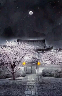 古风-花瓣网|陪你做生活的设计师 | 古风 唯美 创意 意境 长素材长图