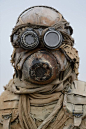 (13) Pinterest