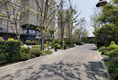 Asaya采集到S-示范区