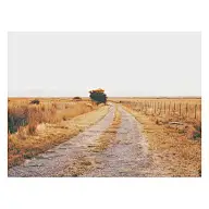 无法想象の三次元の美景们