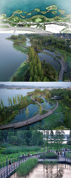 景观群采集到A风格-红树林--湿地--保护区